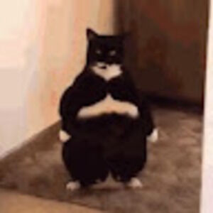 Meet your Posher, Kristina